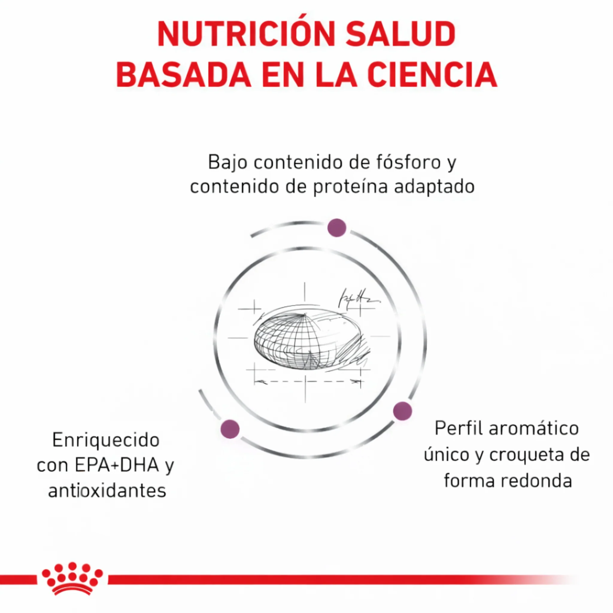 ROYAL CANIN® Renal Gato – Dieta veterinaria para el soporte de la función renal - Image 3