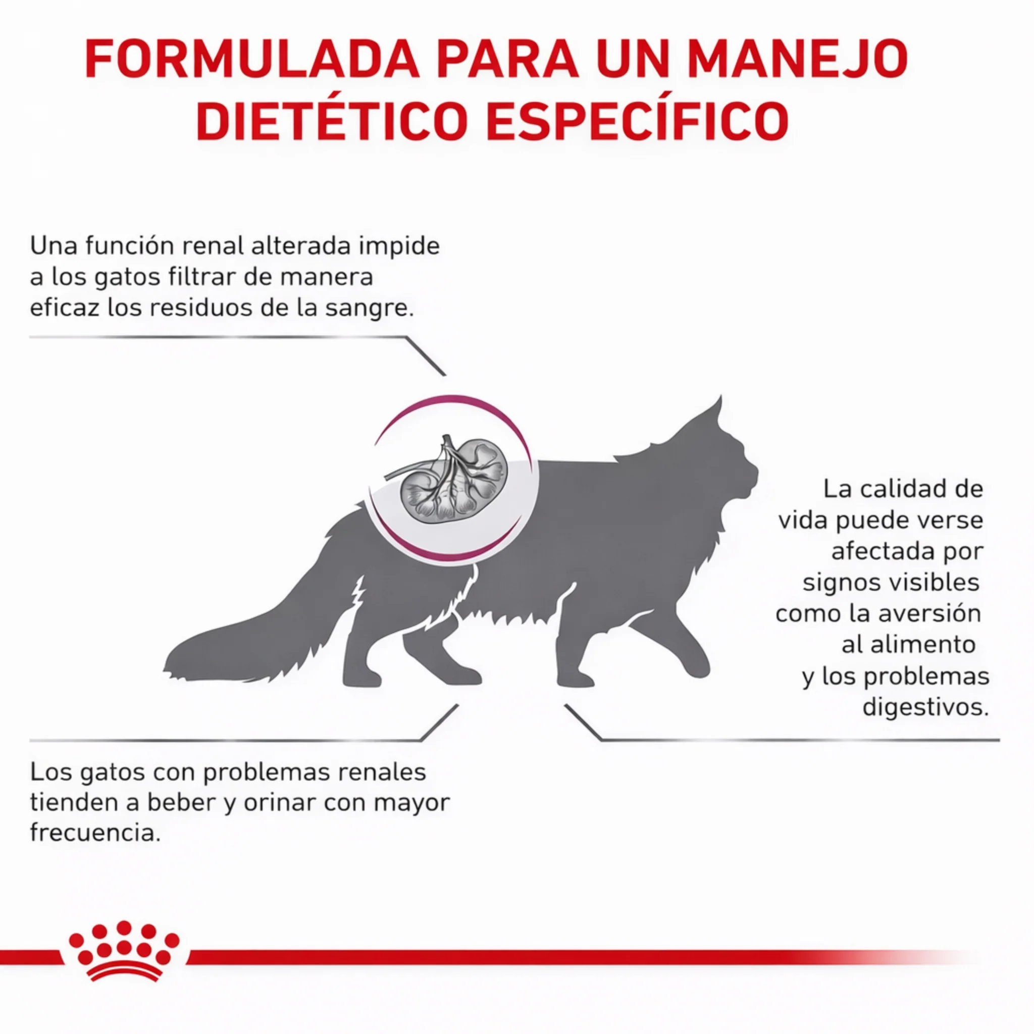 ROYAL CANIN® Renal Gato – Dieta veterinaria para el soporte de la función renal - Image 4