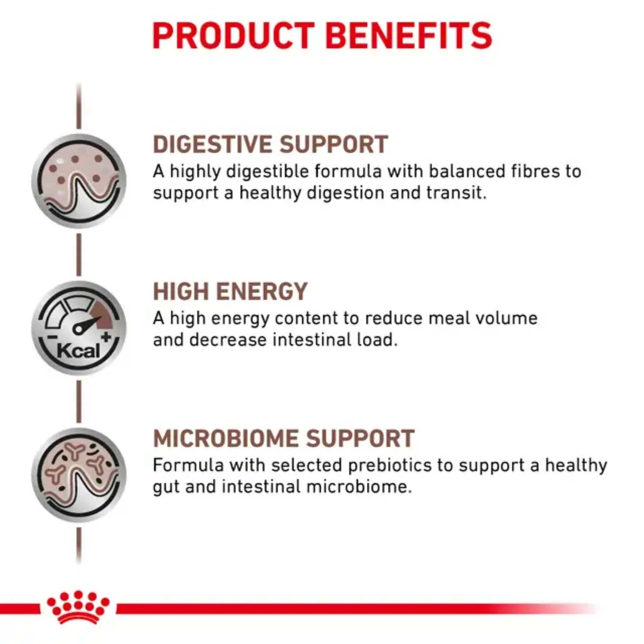 ROYAL CANIN® Gastrointestinal Gato – Dieta veterinaria para apoyo digestivo - Image 3