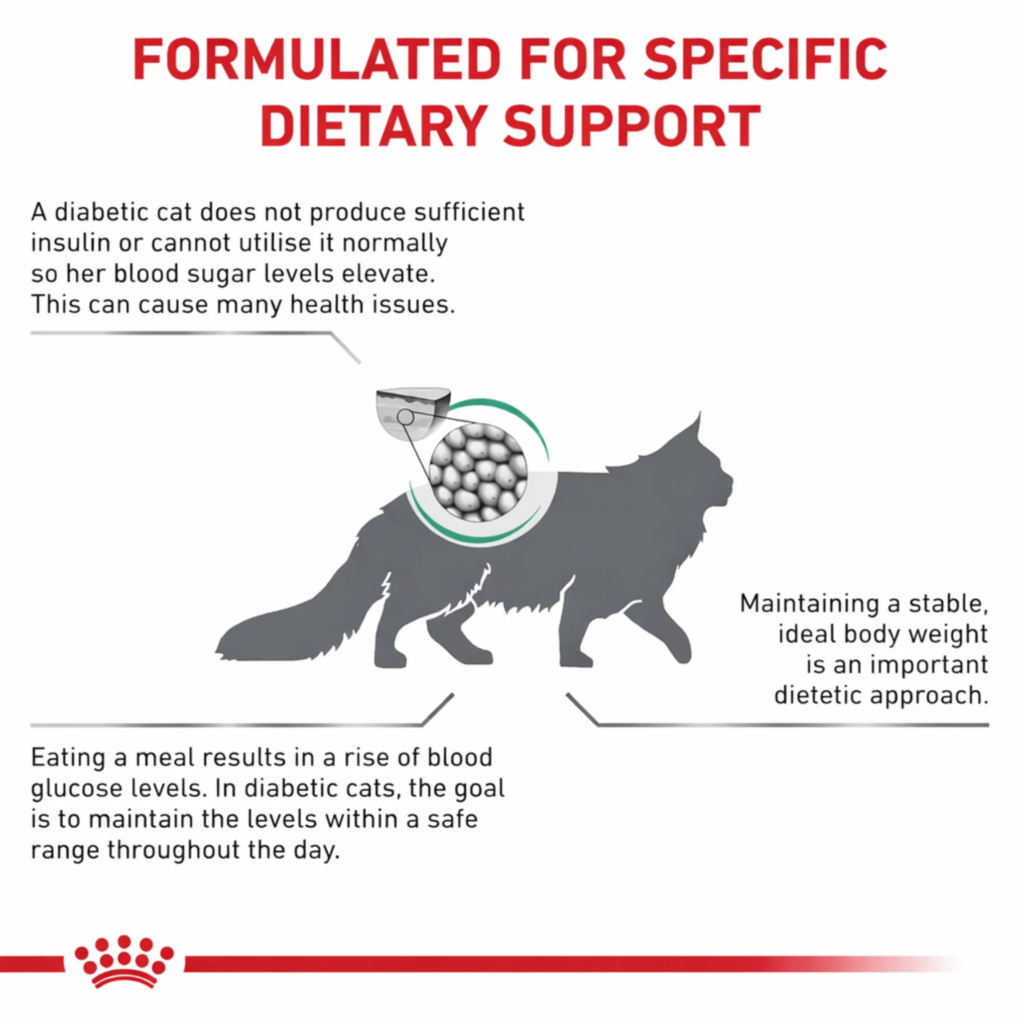 ROYAL CANIN® Diabetic S/O Gato – Dieta veterinaria para el manejo de la glucosa - Image 3