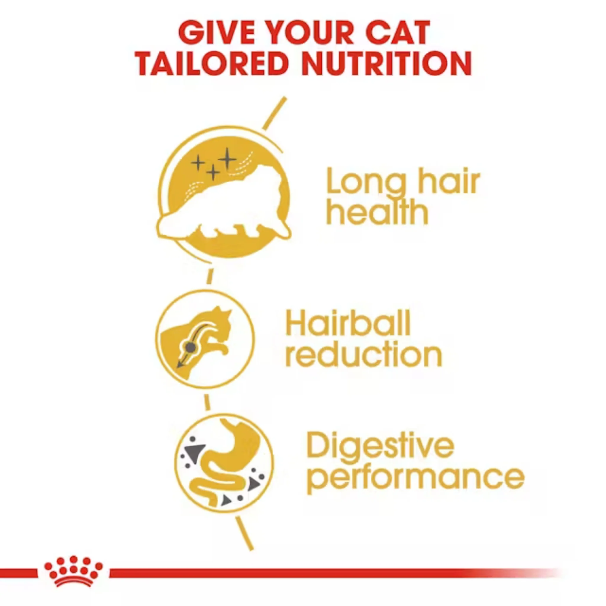 ROYAL CANIN® Persian Adult – Gato Persa Adulto (Desde los 12 meses) - Image 3