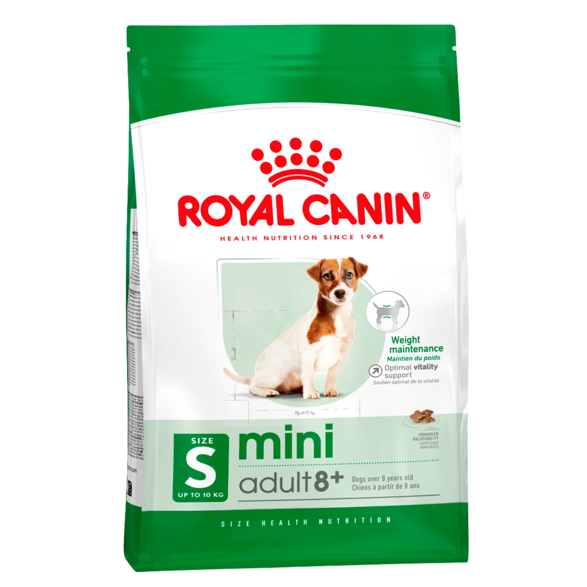 Alimento Premium Royal Canin Adulto Mini 8+ - perros de edad avanzada raza pequeña