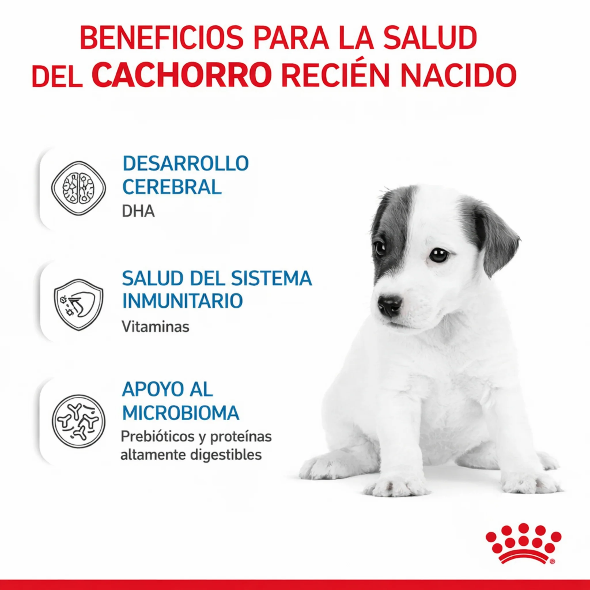 Royal Canin Babydog Milk –Sustituto de Leche para Cachorros (0-2 meses) - Image 4