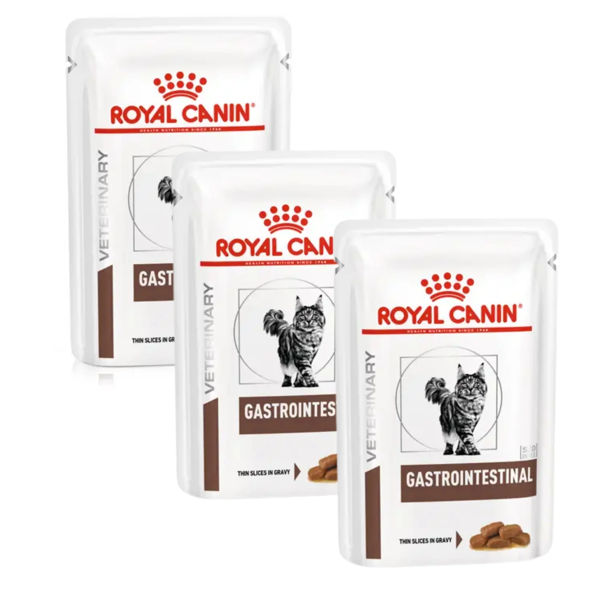 Royal Canin Gastrointestinal – Alimento Húmedo para Gatos - Image 3