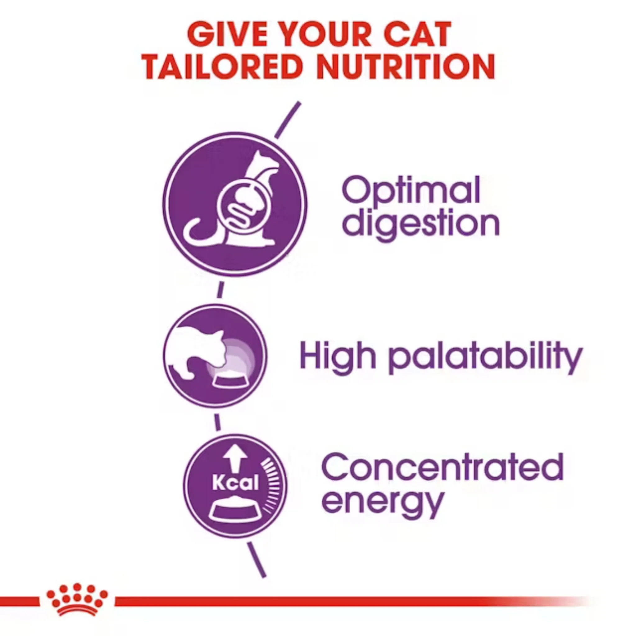 Royal Canin Sensible 33 – Alimento para Gatos Adultos con Sensibilidad Digestiva - Image 3