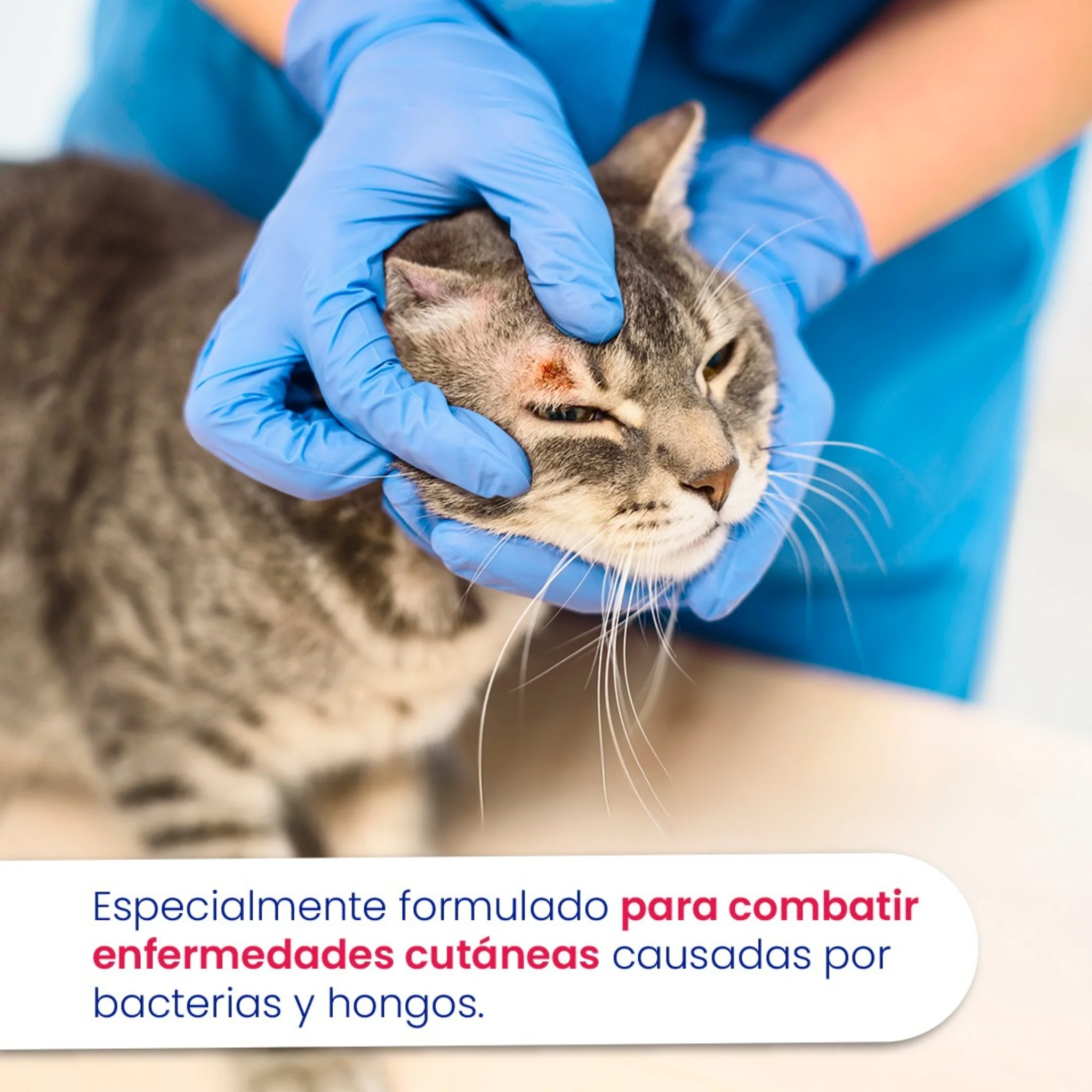 Saniderm – Crema tópica veterinaria de acción integral - Image 3