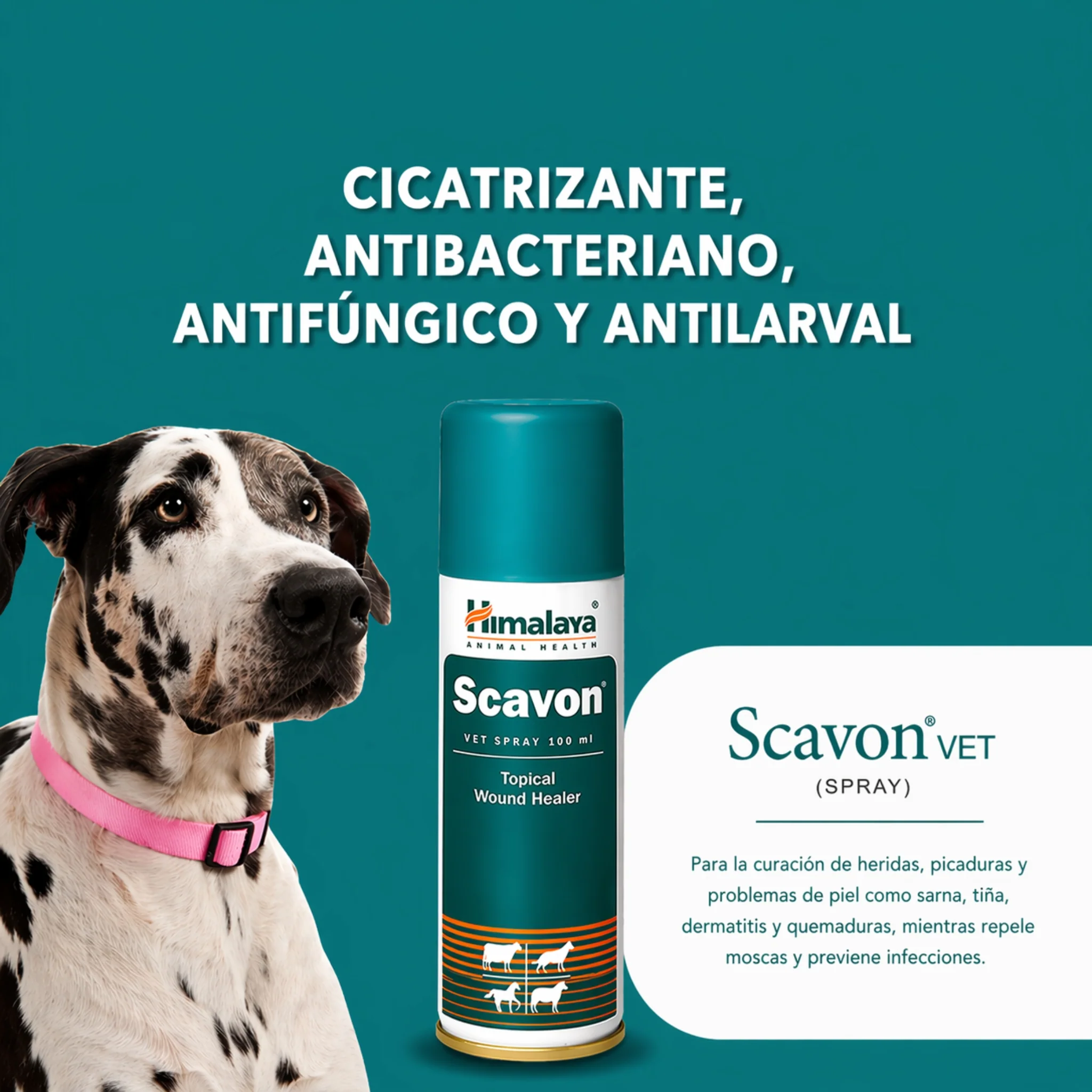 Scavon Vet Spray – Cicatrizante Antiséptico para Perros y Gato - Image 2