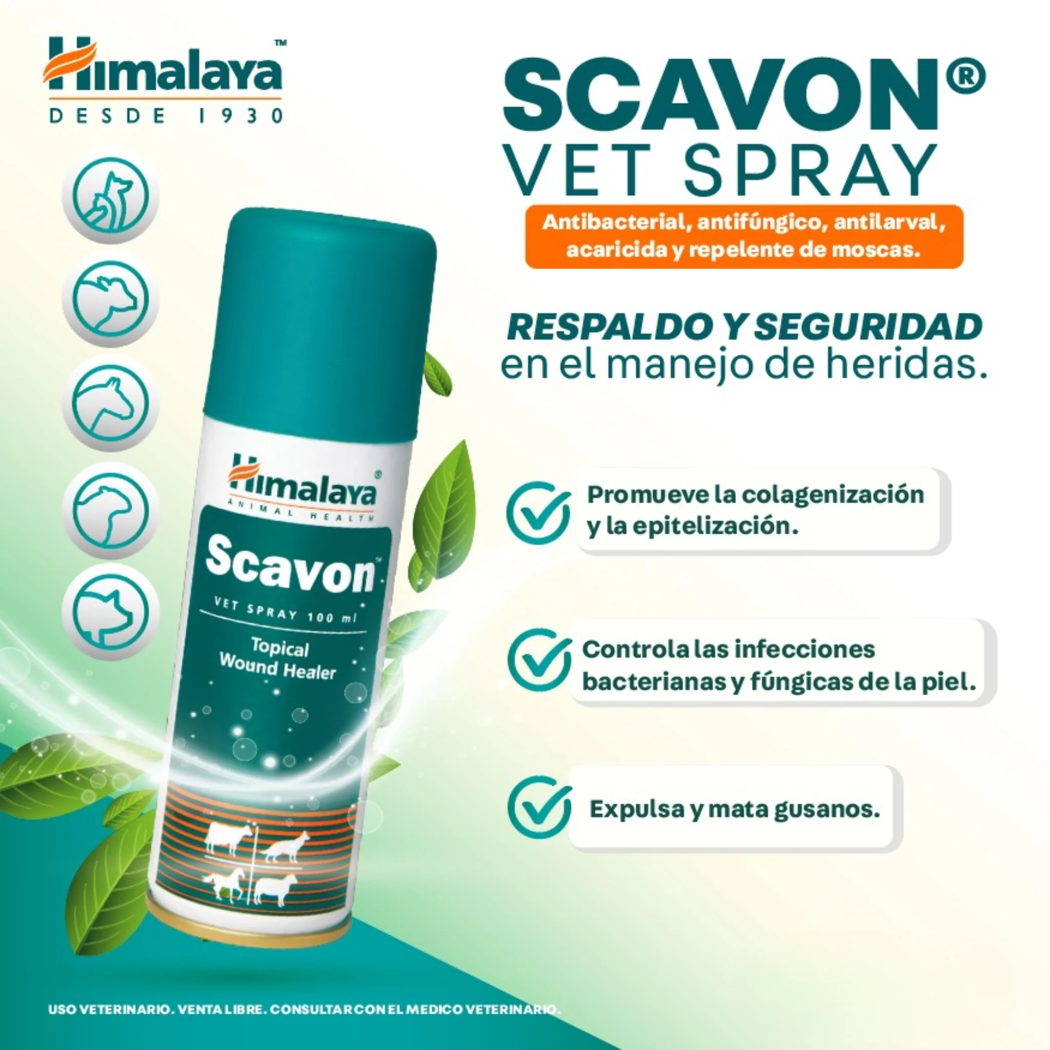 Scavon Vet Spray – Cicatrizante Antiséptico para Perros y Gato - Image 3