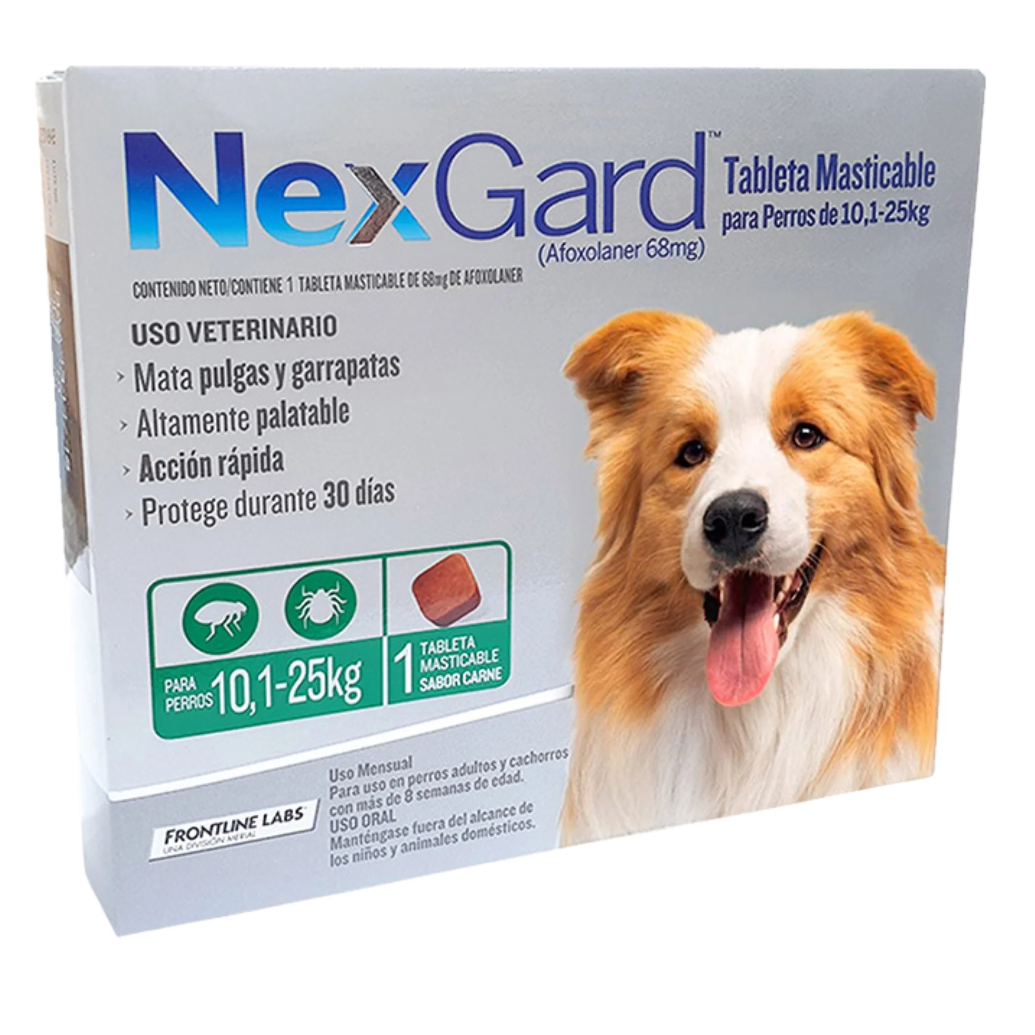 Nexgard antipulgas y garrapatas - Image 4