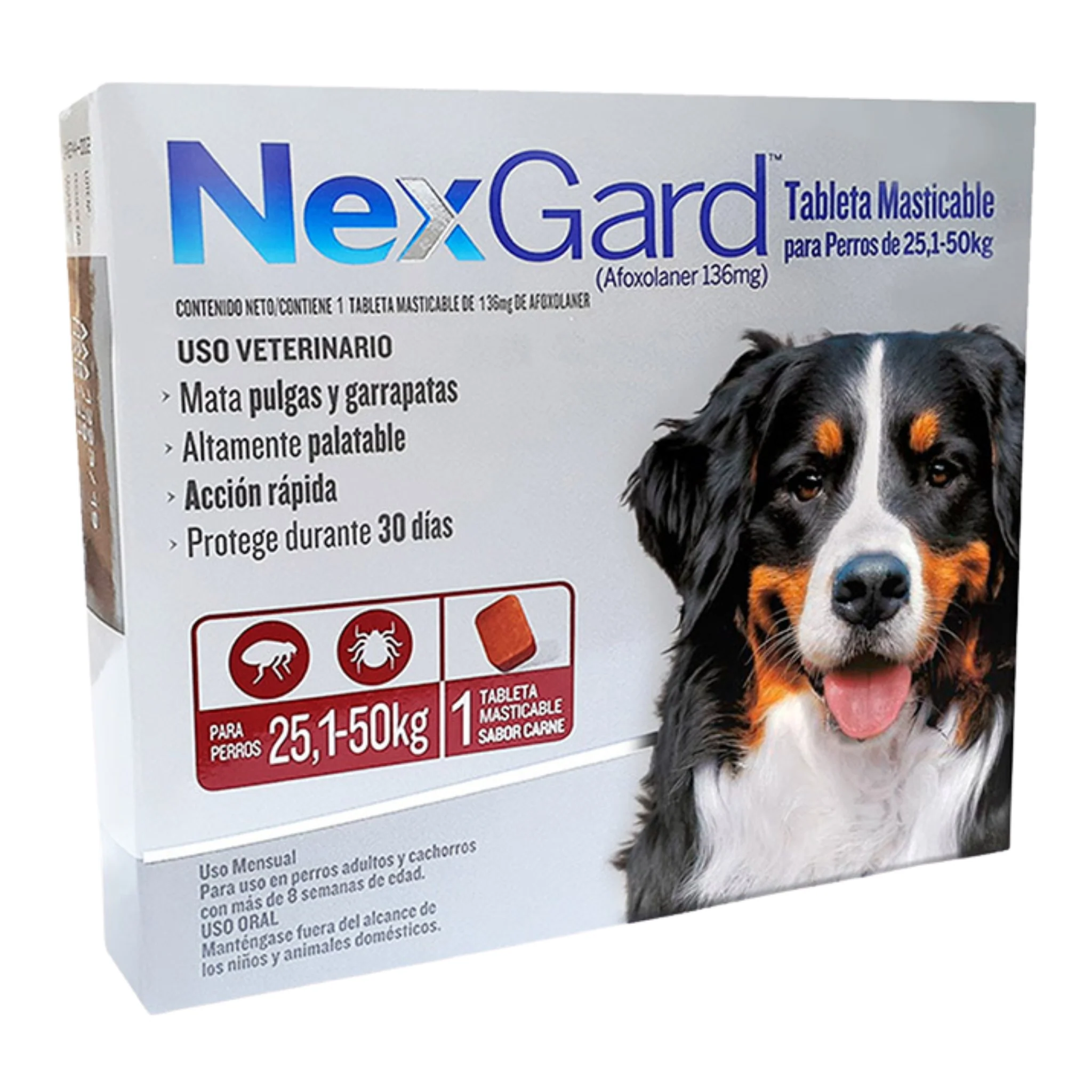 Nexgard antipulgas y garrapatas - Image 5