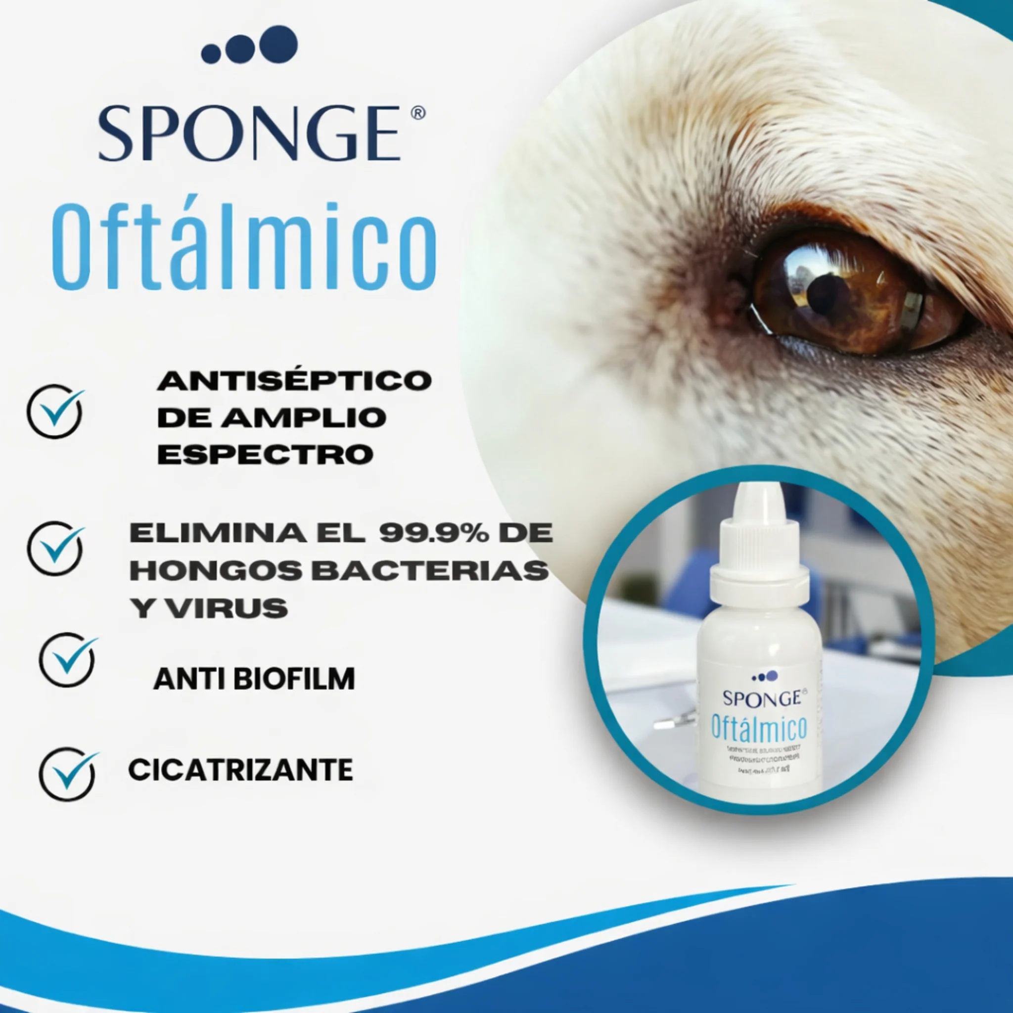 Sponge Oftálmico – Limpiador Ocular Antiséptico para Perros y Gatos - Image 2
