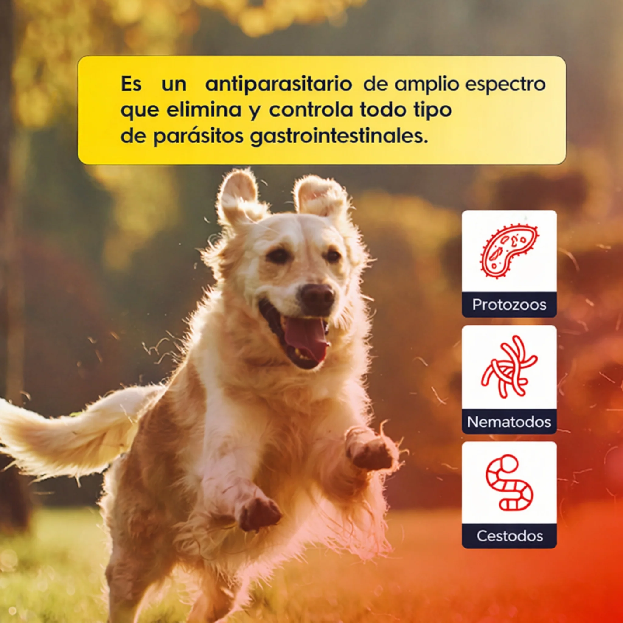 Telopar® Gel – Antiparasitario Interno de Amplio Espectro para Perros y Gatos - Image 4