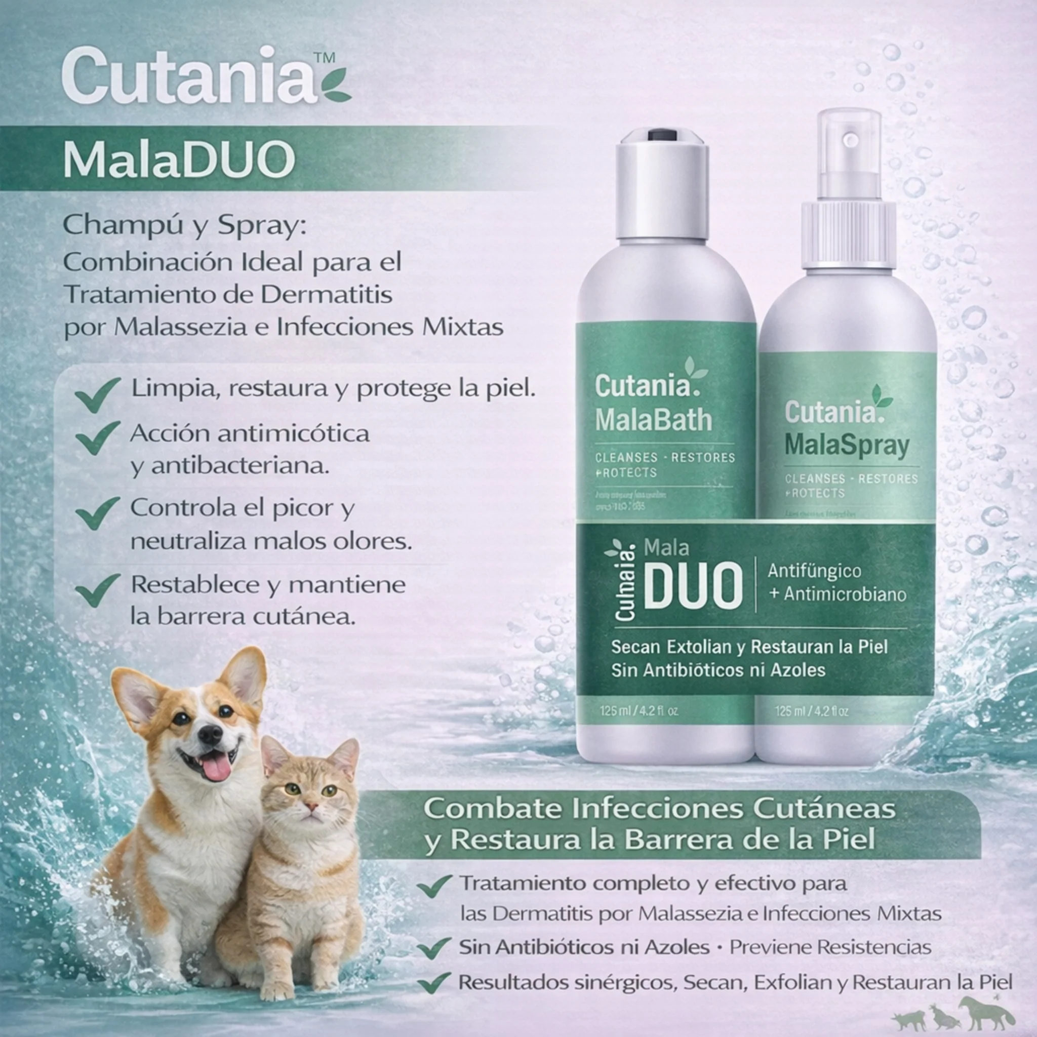 VetNova Cutania M Pack – Champú y Spray para Problemas de Piel - Image 2