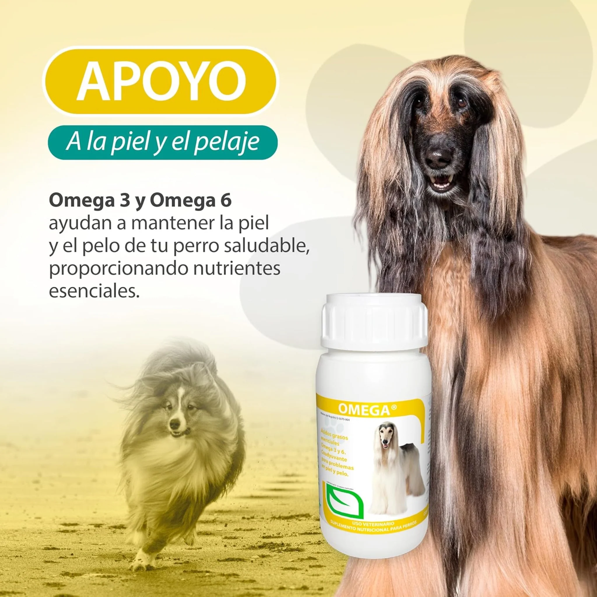 Vetri Omega® Perros – Suplemento Nutricional para Piel, Pelaje y Vitalidad - Image 3