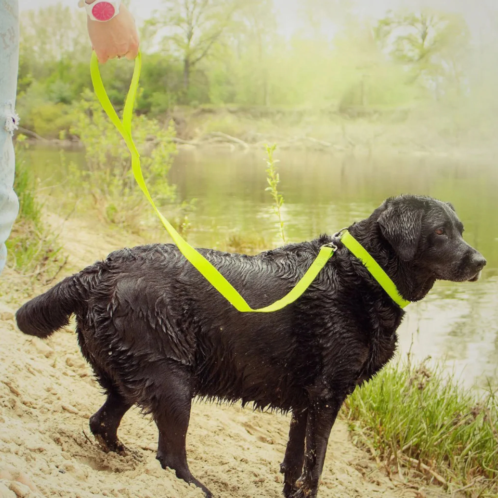 WAUDOG Water Leash 15 mm - Trailla para perro Premium ultraresistente - Image 7