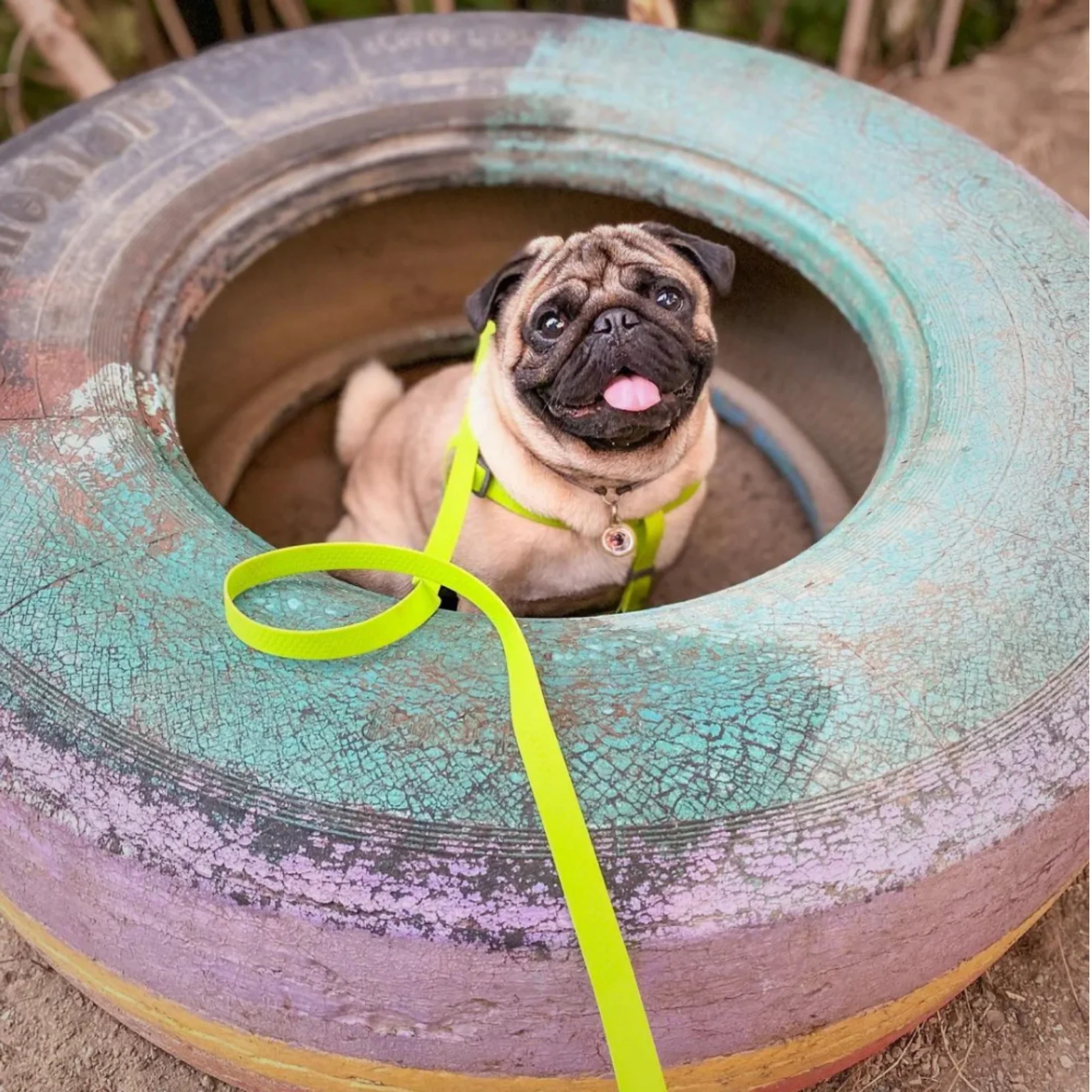WAUDOG Water Leash 15 mm - Trailla para perro Premium ultraresistente - Image 8