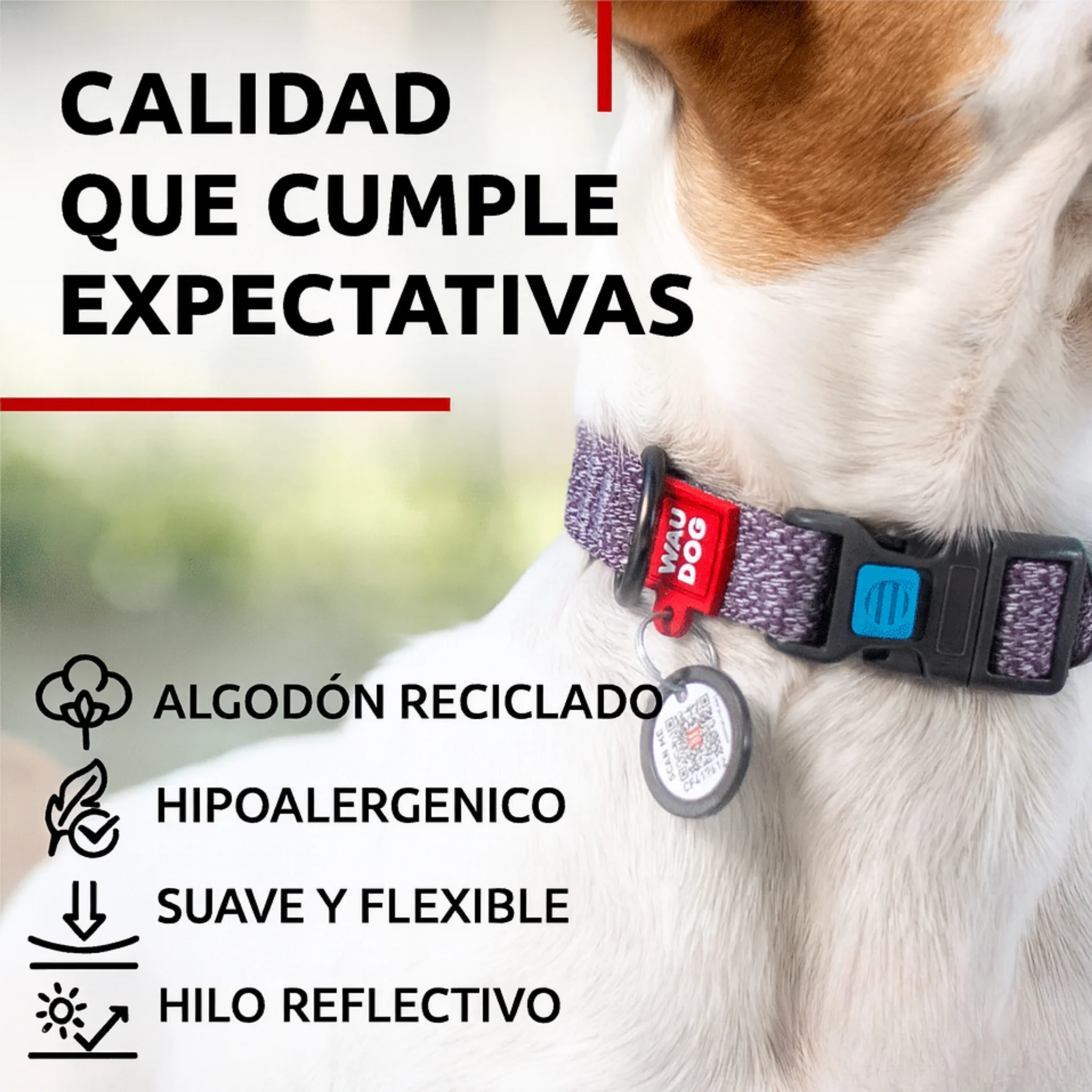 Collar WAUDOG Nylon M perros medianos 2,0mm: resistente, cómodo y ecológico. - Image 5