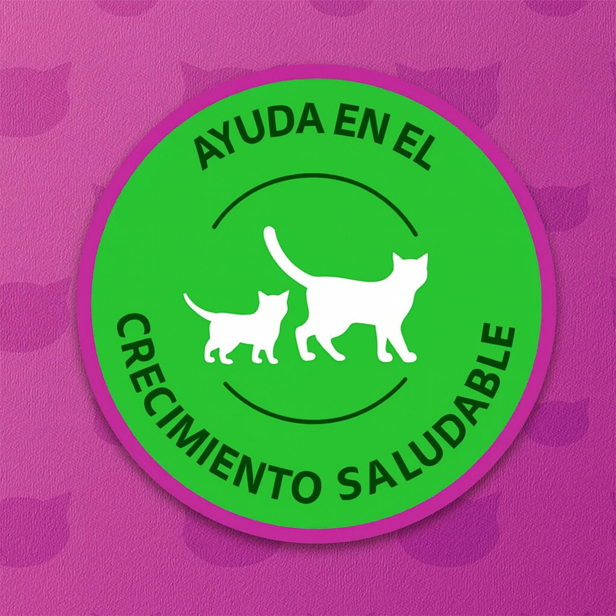 Whiskas Cachorro Mix – Pack de 7 Sobres de Alimento Húmedo para Gatos (7 x 85 g) - Image 3