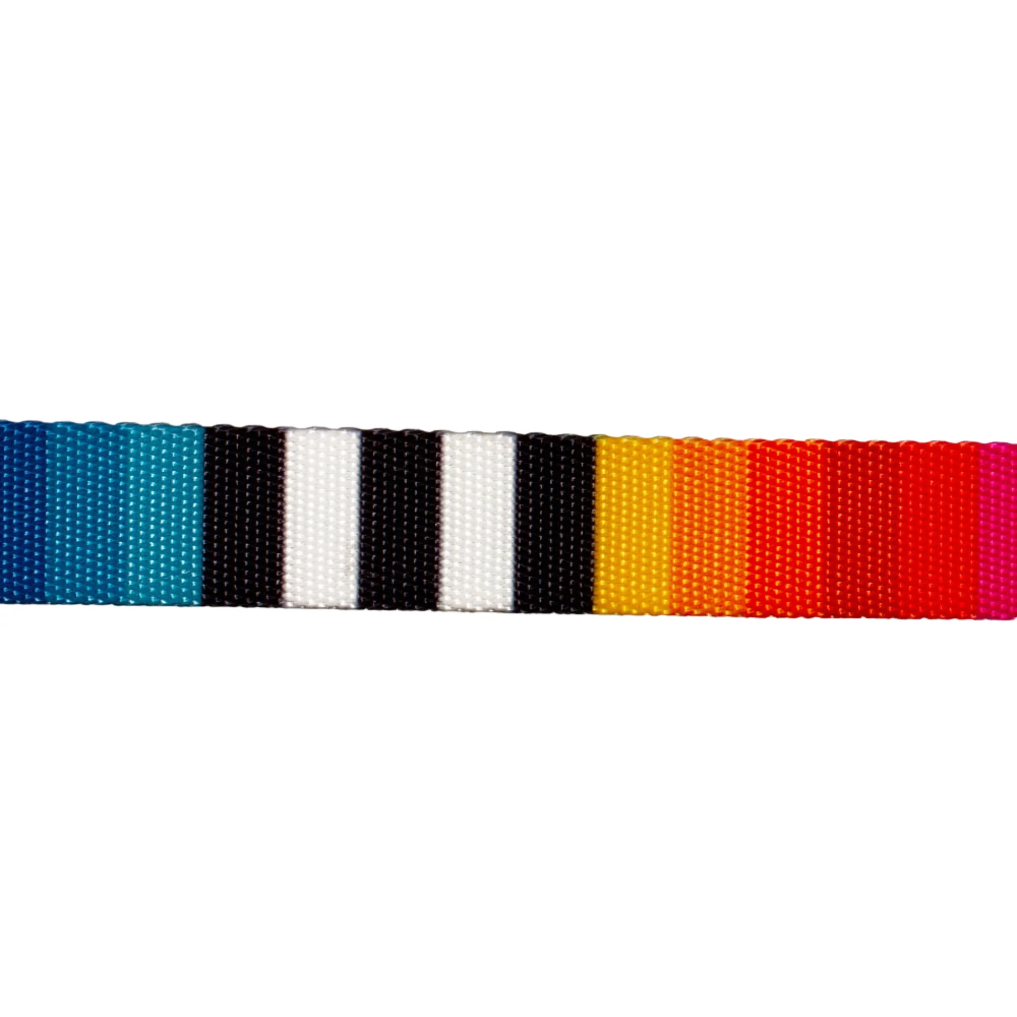 ZeeCat Collar Prisma – Collar Multicolor para Gatos con Broche de Seguridad - Image 3