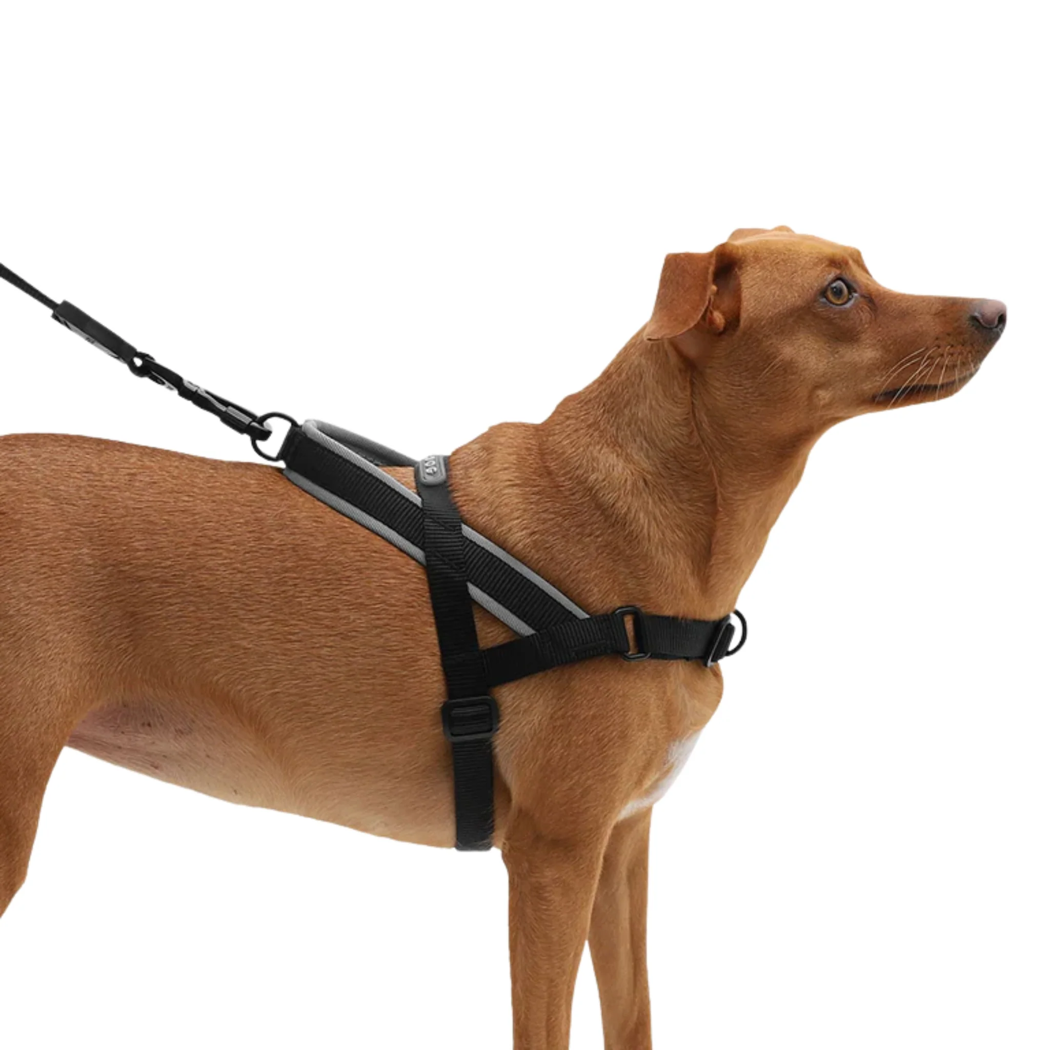 ZeeDog Gotham Softer Walk Harness – Arnés Anti-tirones - Image 2