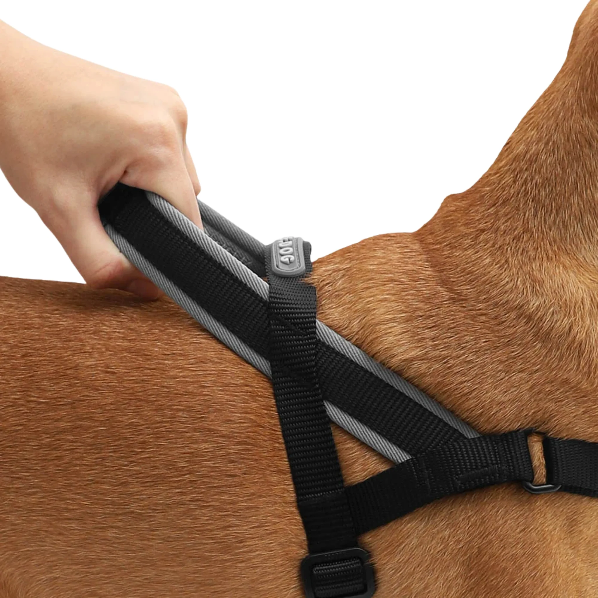 ZeeDog Gotham Softer Walk Harness – Arnés Anti-tirones - Image 4