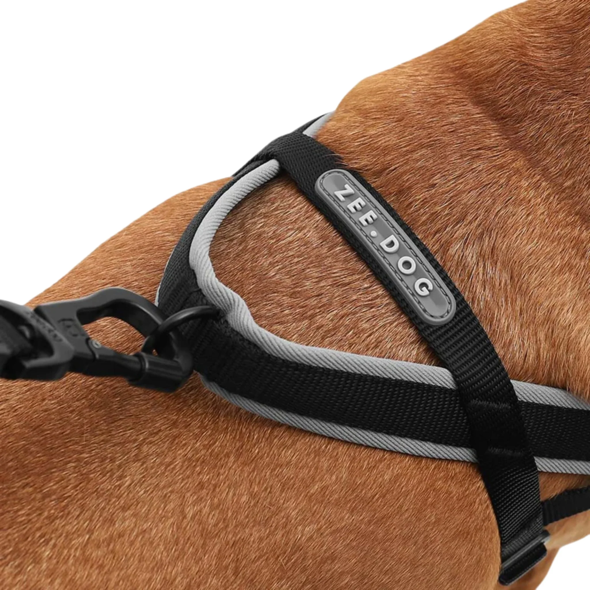 ZeeDog Gotham Softer Walk Harness – Arnés Anti-tirones - Image 5
