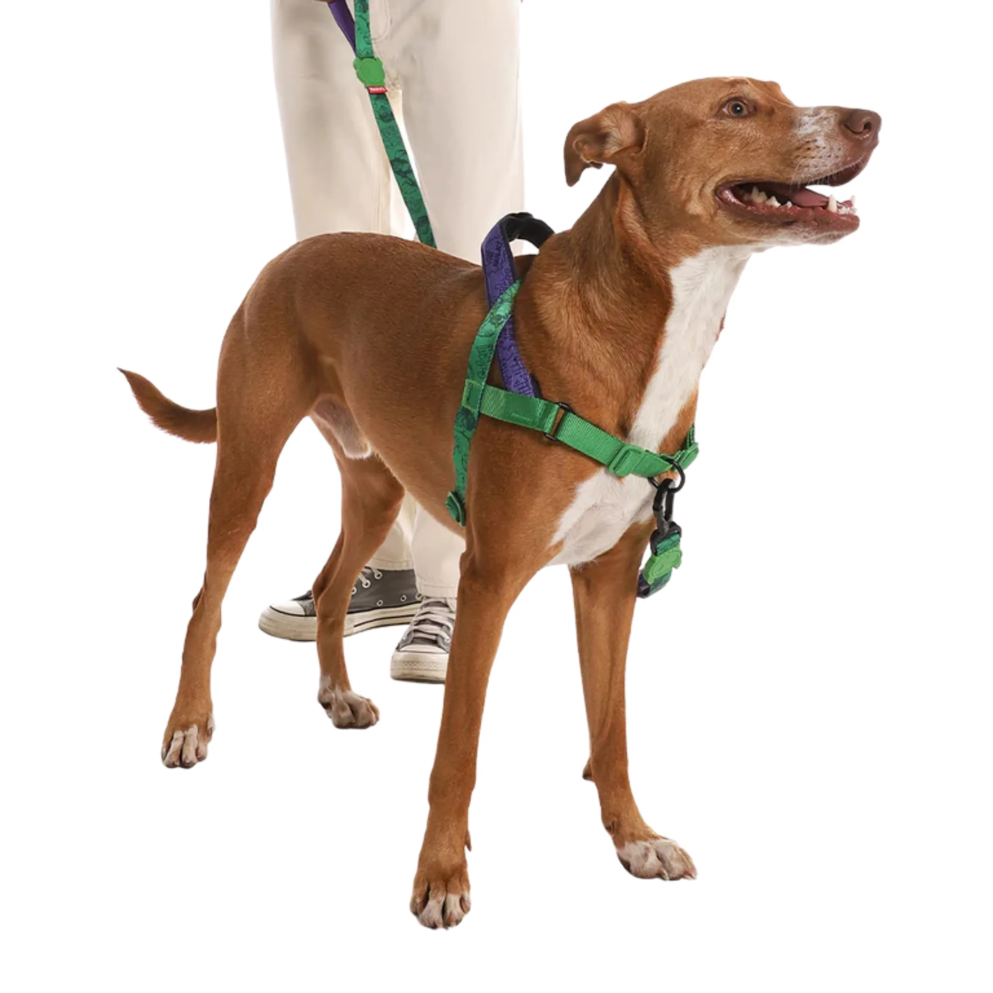 Zee.Dog Marvel Hulk SofterWalk – Arnés Ajustable Anti-Tirones - Image 2
