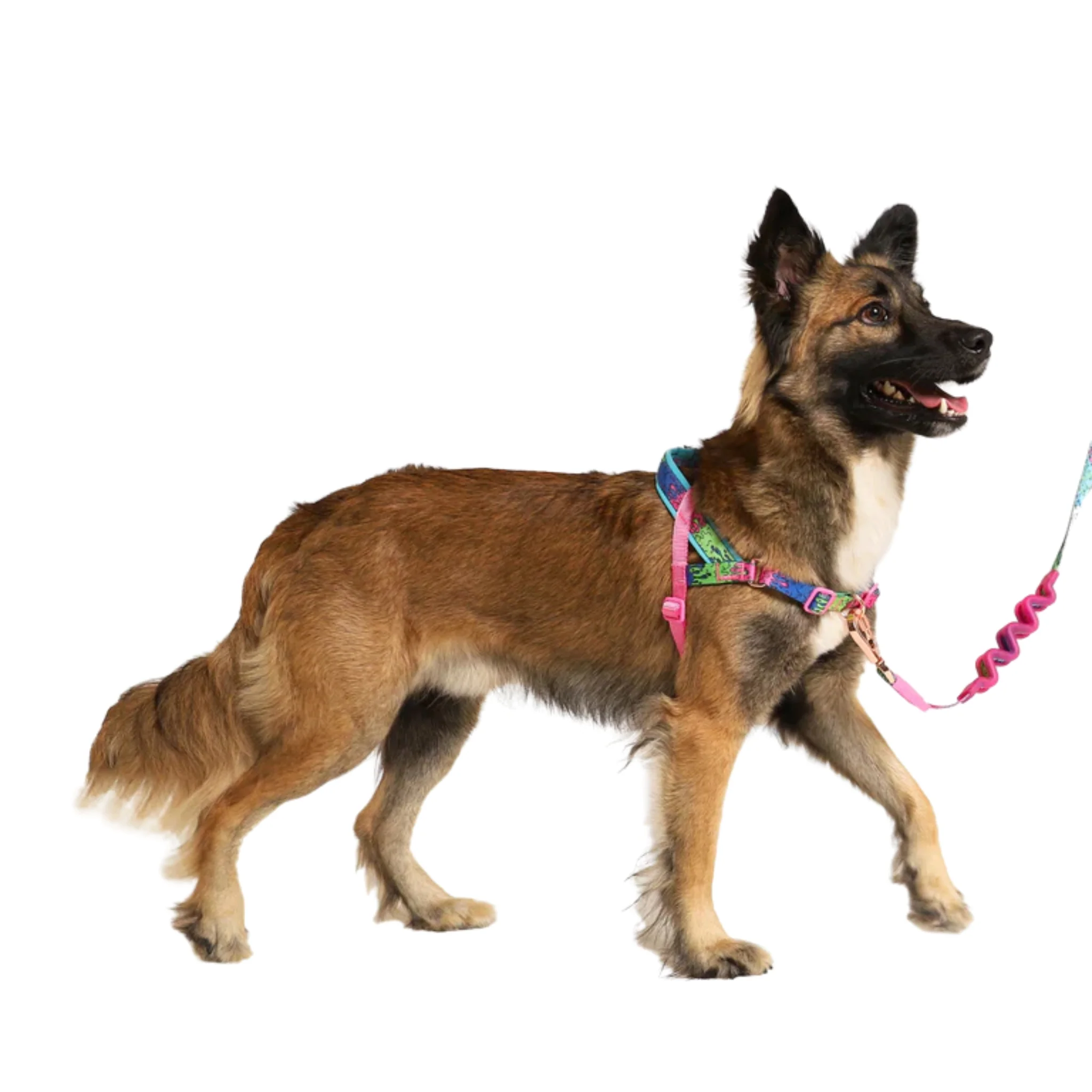 Zee.Dog Melted Softerwalk Harness - Arnés Ajustable Anti-Tirones - Image 2
