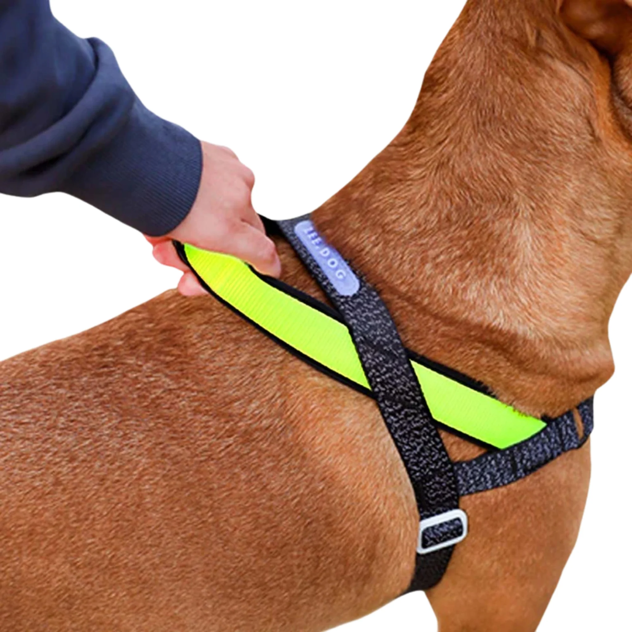 Zee.Dog Nox Softerwalk Harness - Arnés Ergonómico Refelectivo Anti-Tirones - Image 2