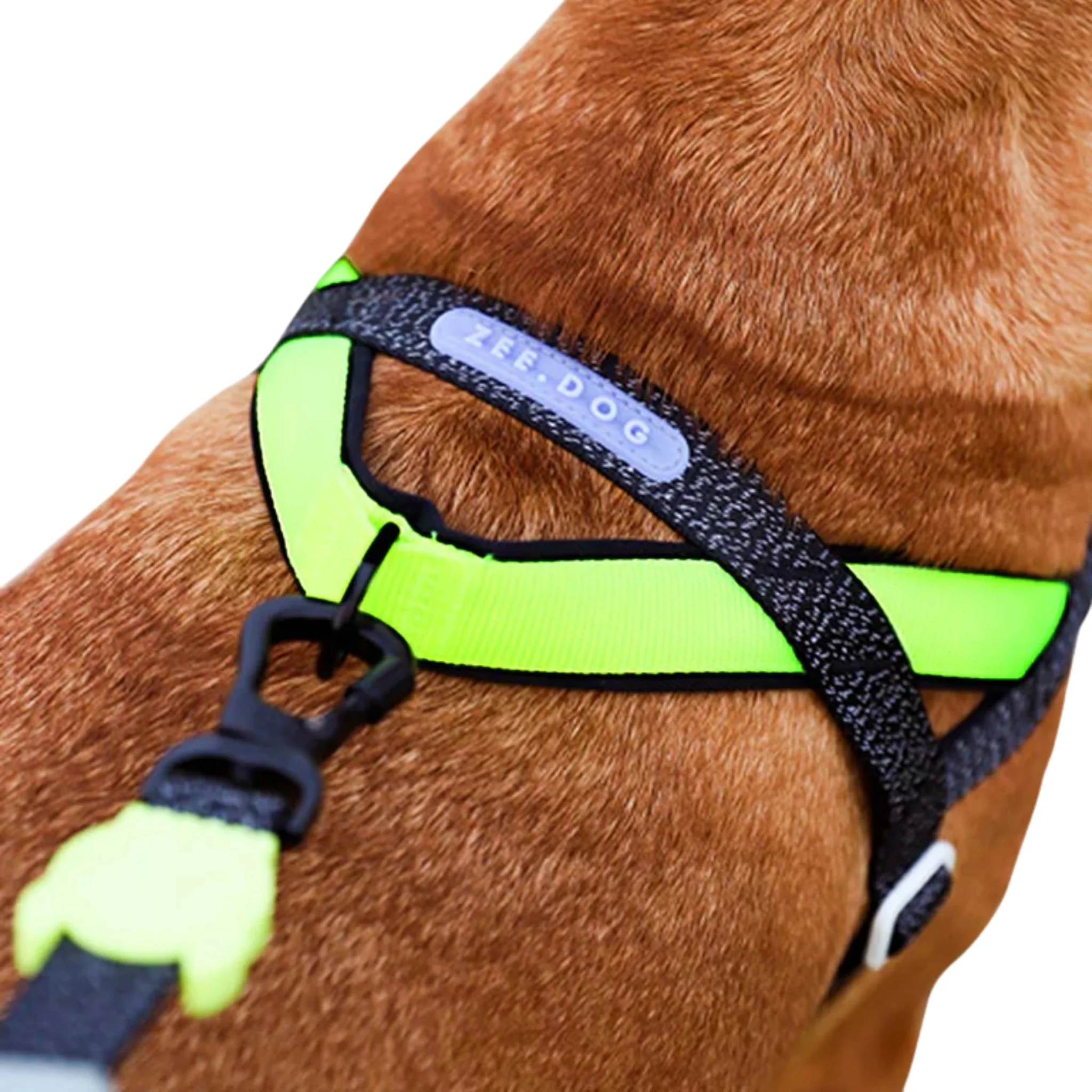 Zee.Dog Nox Softerwalk Harness - Arnés Ergonómico Refelectivo Anti-Tirones - Image 3