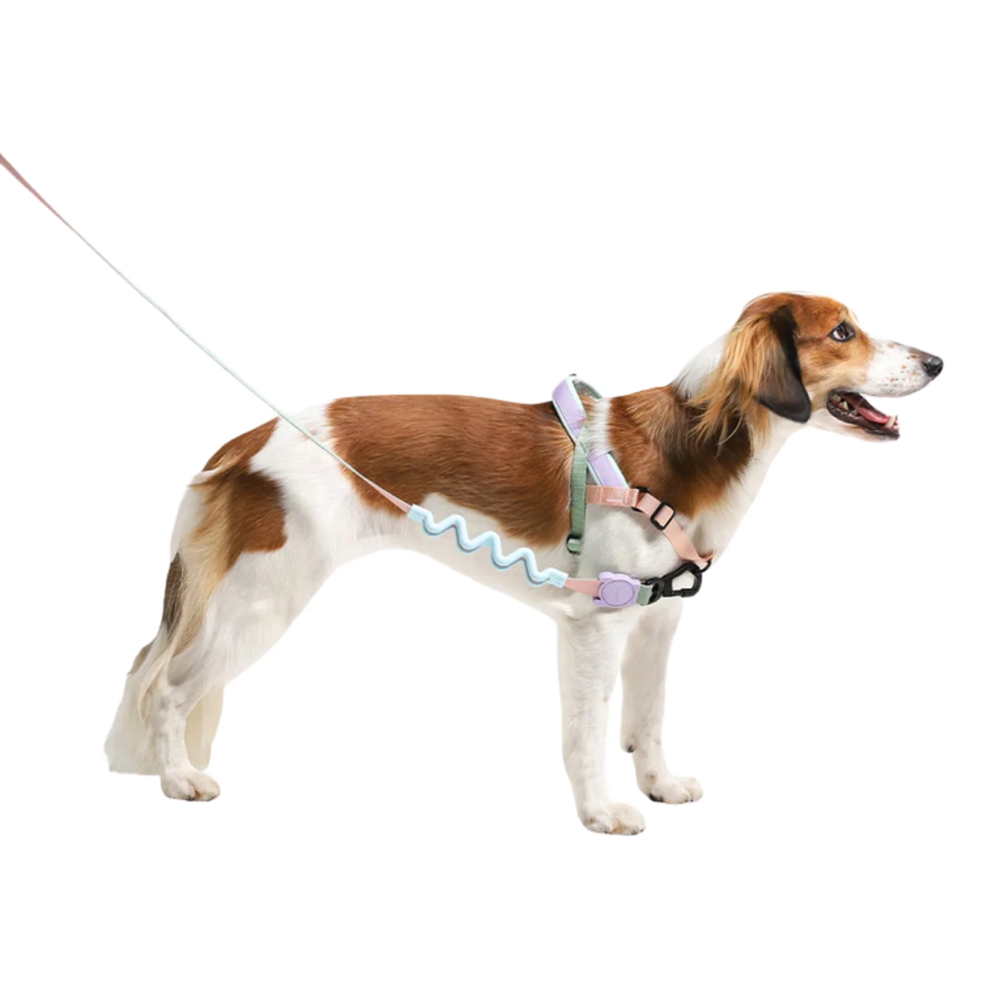 Zee.Dog Peach Softer Walk Harness – Arnés Ajustable Anti-Tirones - Image 2