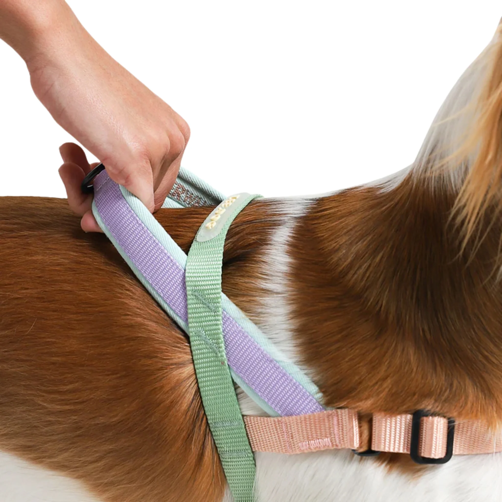 Zee.Dog Peach Softer Walk Harness – Arnés Ajustable Anti-Tirones - Image 3