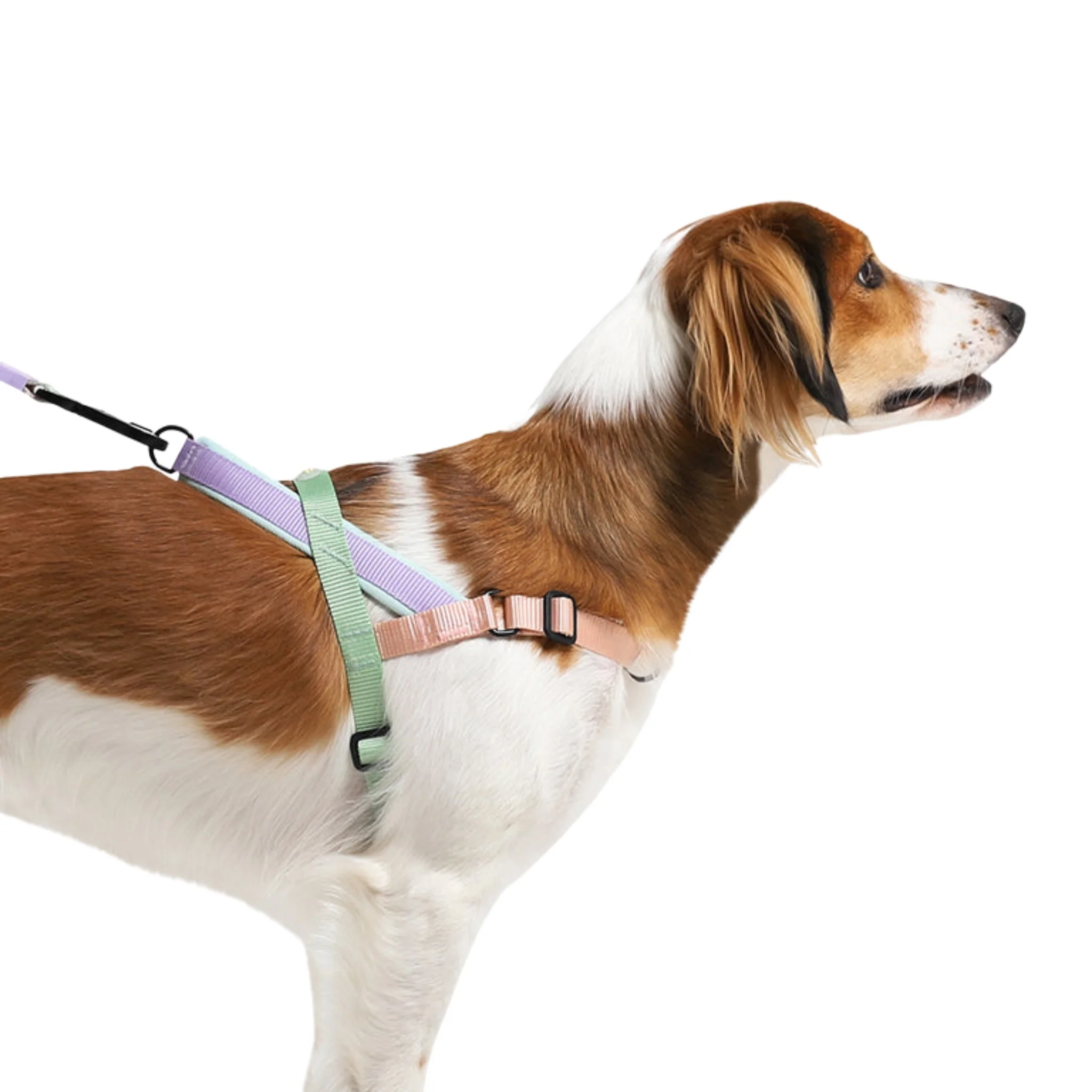 Zee.Dog Peach Softer Walk Harness – Arnés Ajustable Anti-Tirones - Image 4