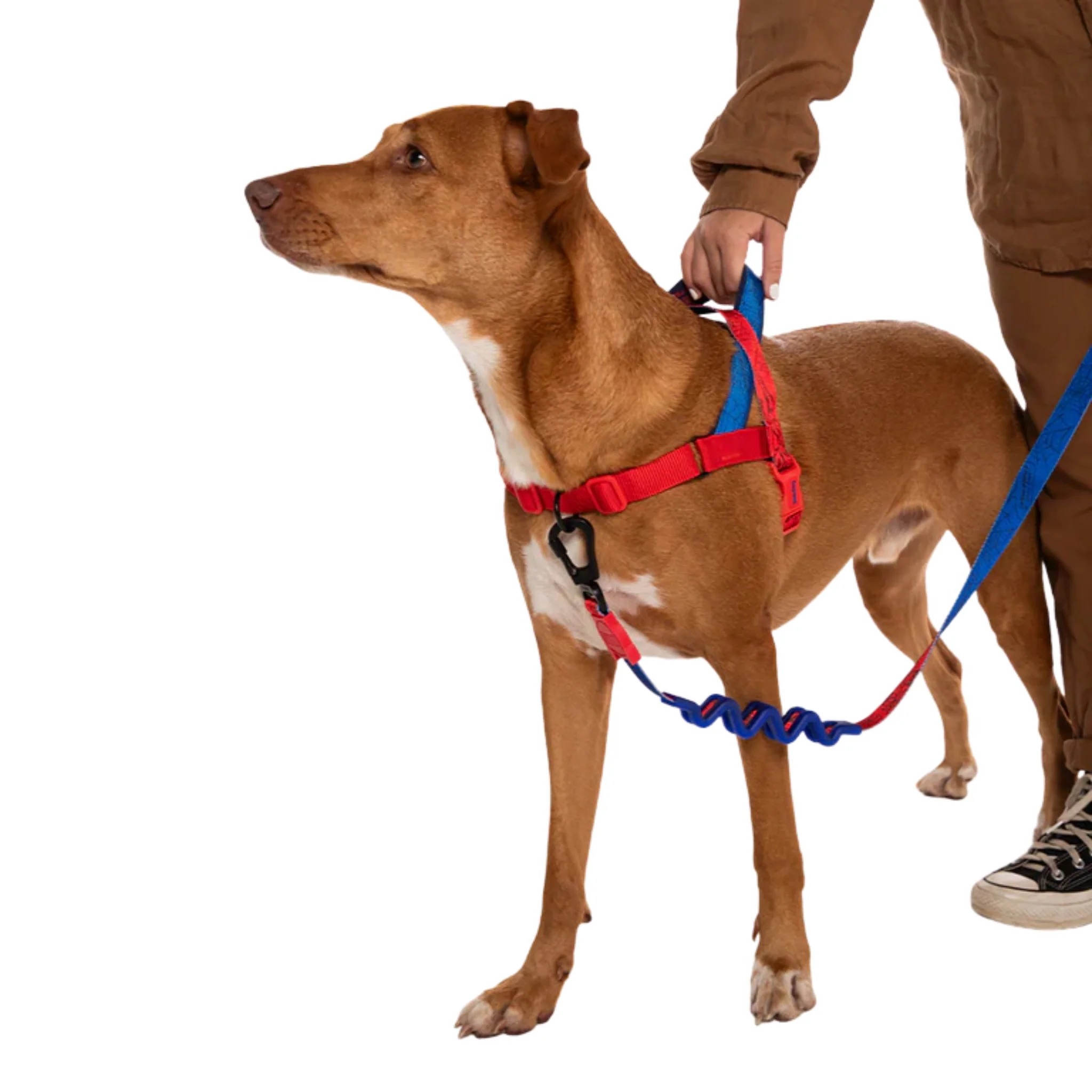 Zee.Dog Marvel Spider-Man SofterWalk – Arnés Ajustable Anti-Tirones - Image 2