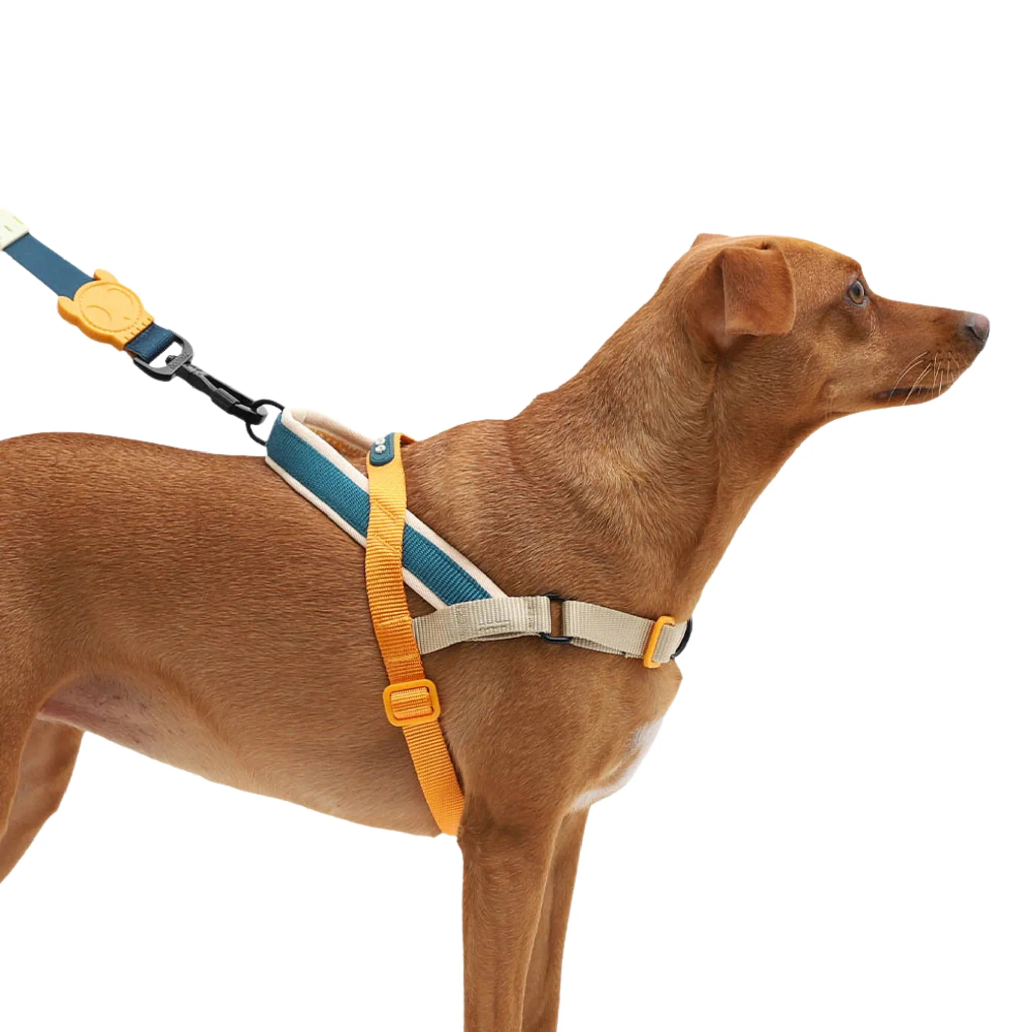 ZeeDog Voyage Softer Walk Harness - Arnés Anti-tirones - Image 2
