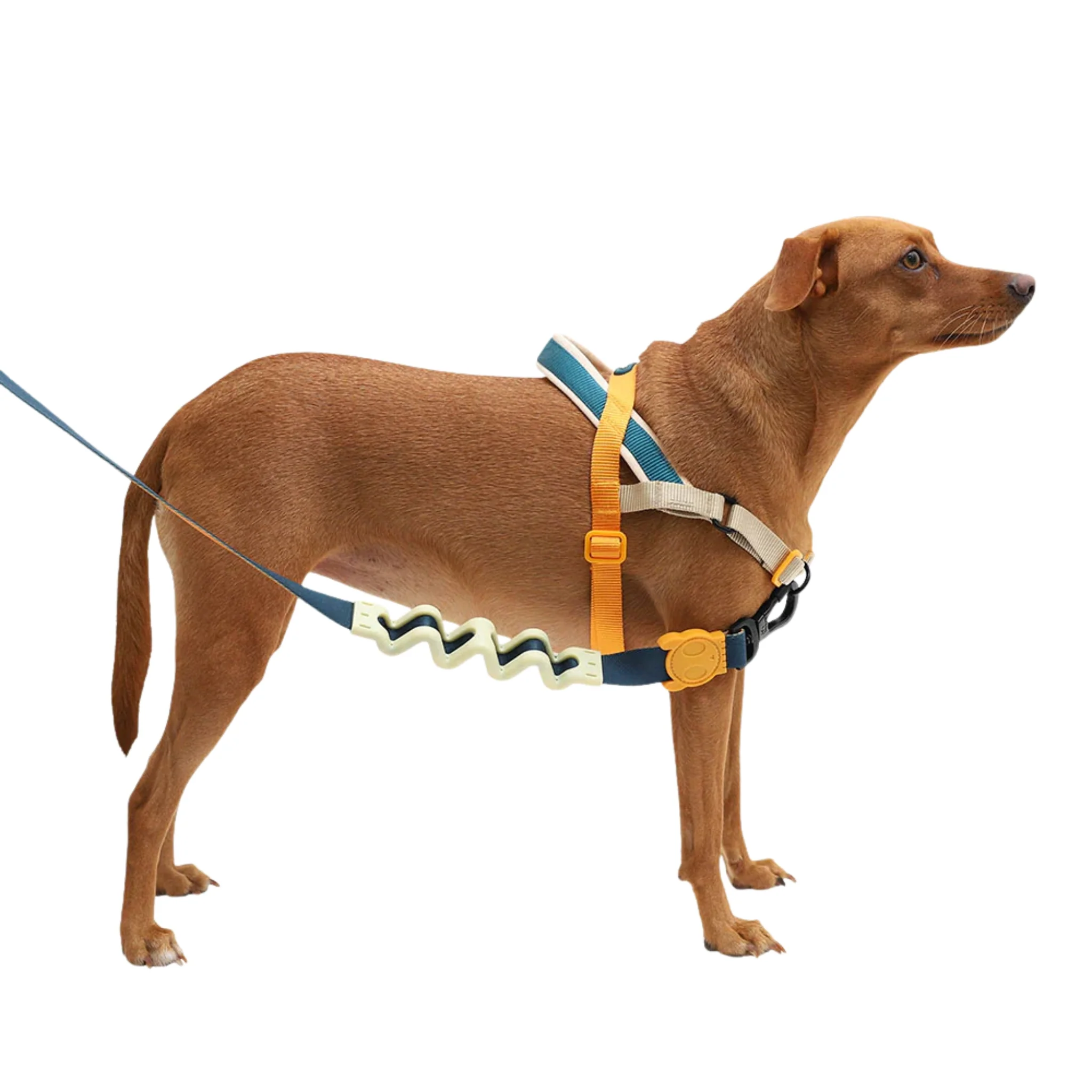 ZeeDog Voyage Softer Walk Harness - Arnés Anti-tirones - Image 3