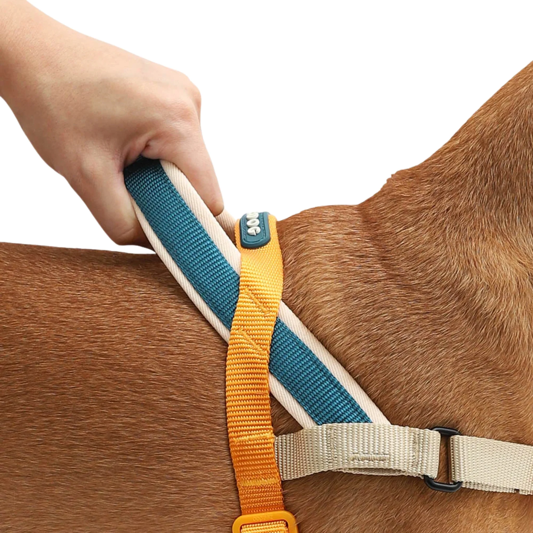 ZeeDog Voyage Softer Walk Harness - Arnés Anti-tirones - Image 4