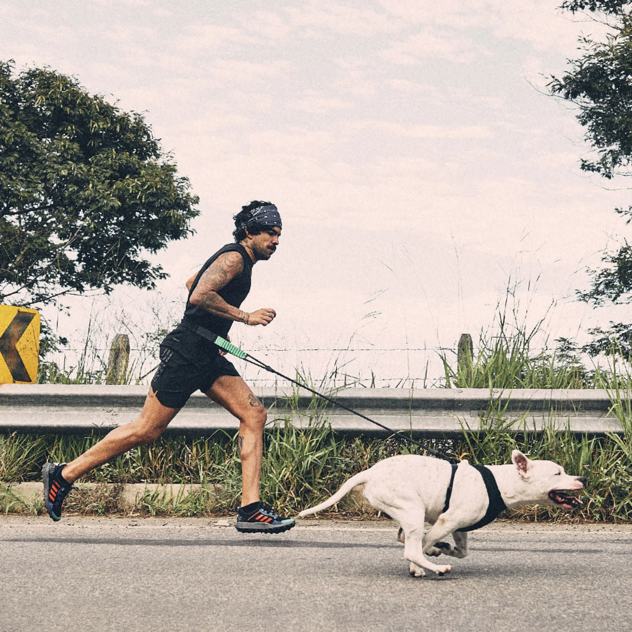 Zee.Run Cinturón para Correr Manos Libres – ZeeDog - Image 3